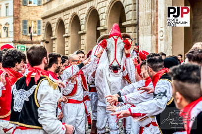 Photo Journalism Prize 2026. Recognizing Excellence In Photojournalism. Carnevale Storico di Offida ~ Bove Finto. © Luca Cameli Photographer
