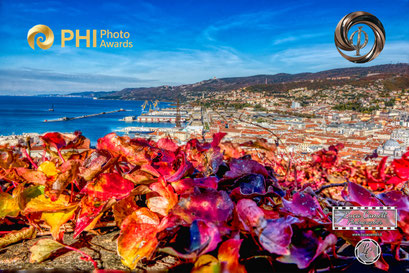Phi Photography Awards 2025 ~ 3st Place. Luci Di Trieste. © Luca Cameli Photographer