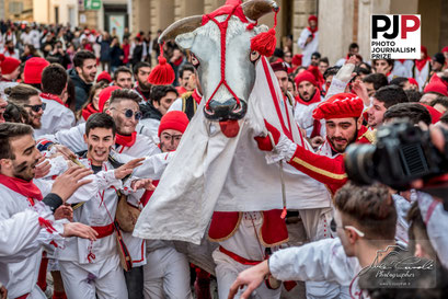 Photo Journalism Prize 2026. Recognizing Excellence In Photojournalism. Carnevale Storico di Offida ~ Bove Finto. © Luca Cameli Photographer