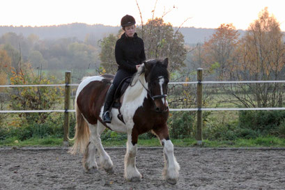 Cathi und Shamrock