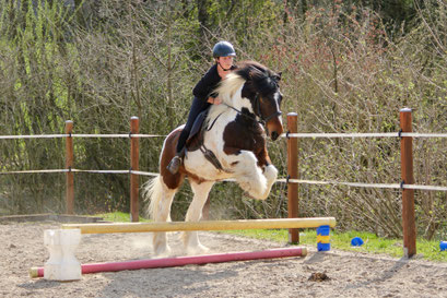 Cathi und Shamrock