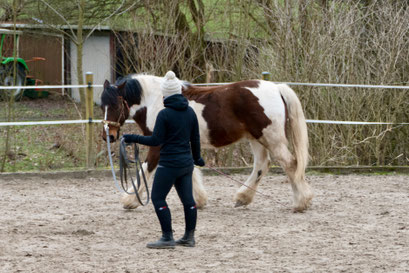 Cathi und Shamrock