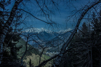 Blick durch den keimenden Baum auf das Bergdorf Weißenbach im Ahrntal in Südtirol