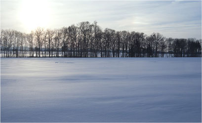 Winterimressionen Schaumburg