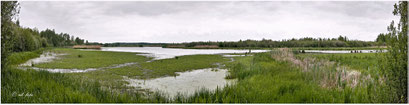 Westenmeer, Steinhuder Meer
