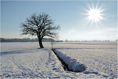 Winterimpressionen Schaumburg