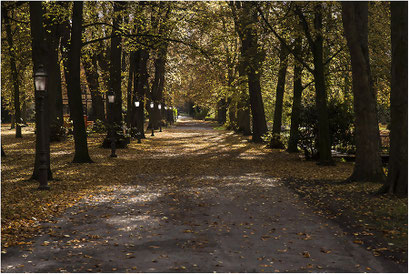 Stadtgarten Stadthagen