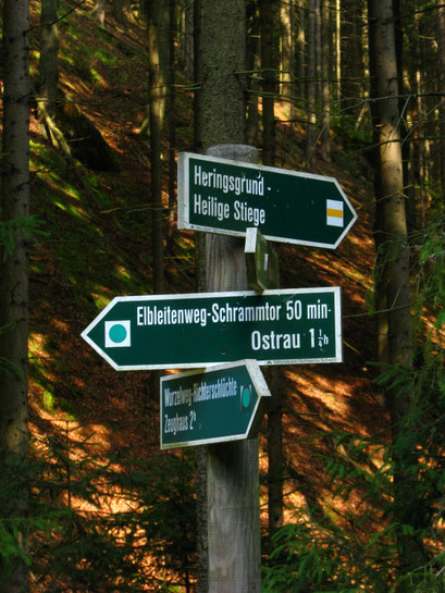 Auf zur heiligen Stiege