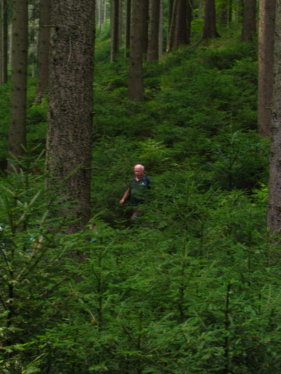 Des Försters Element, der Wald