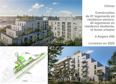 LAMOTTE - TETRARC