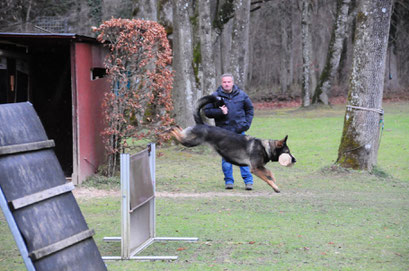 Nanu von der Wolfskralle