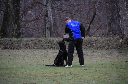 Maick von der Wolfskralle mit Schutzdiensthelfer Stefan Altenberger