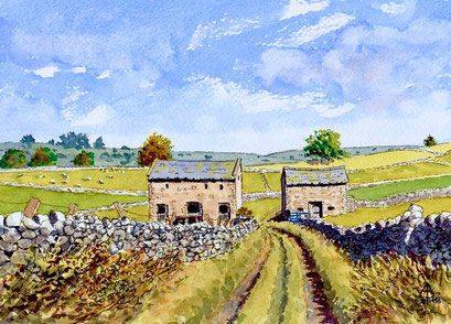 Barns, Peak District, Derbyshire - Pen and watercolour, 6 x 10 inches (15 x 25 cm).  Private client