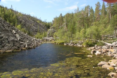 Pyhätunturi National Park