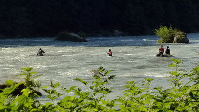 Fischers Fritz fischt frischen Lachs.... Haines, Alaska