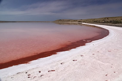 Cabo Blanco - Salz Lagune