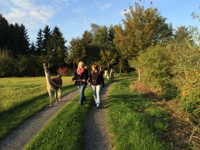 Auch die Erwachsenen können in Ruhe quatschen und entspannen
