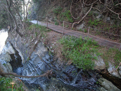 02.06.2014 Storms River Mouth. Abendliche Wanderung zur Hängebrücke