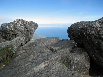 06.06.2014 Auf dem Tafelberg