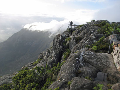 06.06.2014 Auf dem Tafelberg