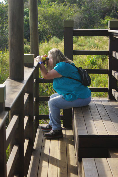 25.05.2014 Tierbeobachtung im St. Lucia Wetland Park