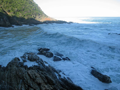 02.06.2014 Storms River Mouth. Abendliche Wanderung zur Hängebrücke