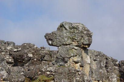 19.05.2014 Kaapschehoop Nature Walk