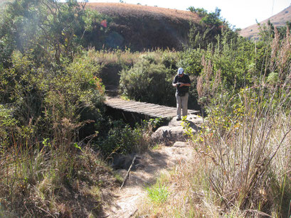 28.05.2014 Thukela Gorge Walk am Fuss der Drakensberge