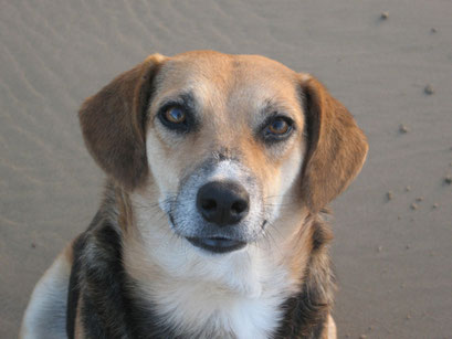 31.05.2014 Neue Freunde an der Coffee Bay