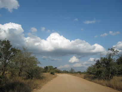 22.05.2014 Krüger Nationalpark