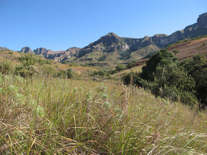 28.05.2014 Thukela Gorge Walk am Fuss der Drakensberge