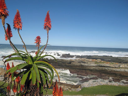 02.06.2014 Storms River Mouth