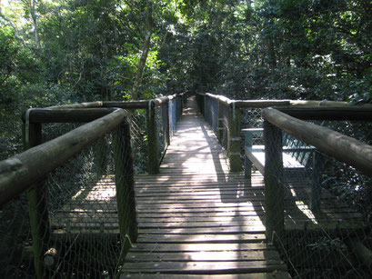 26.05.2014 Eshower  Aerial Board Walk