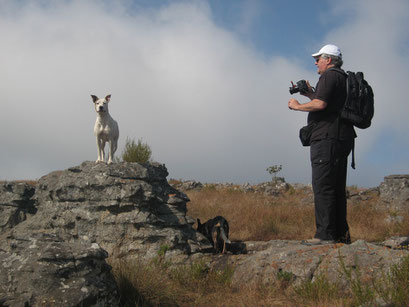 19.05.2014 Kaapschehoop Nature Walk