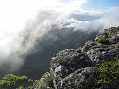 06.06.2014 Auf dem Tafelberg