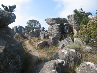 19.05.2014 Kaapschehoop Nature Walk