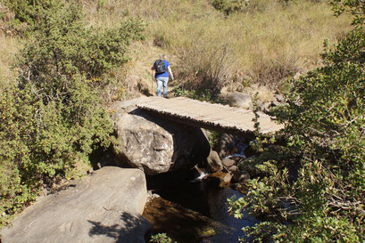 28.05.2014 Thukela Gorge Walk am Fuss der Drakensberge