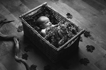 Séance photo nouveau-né toulouse, photographe bébé toulouse