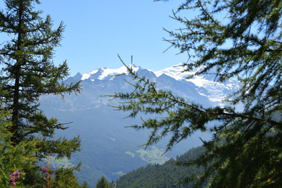 Grächen '14.