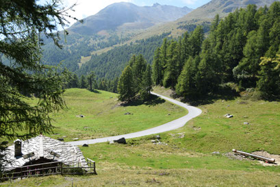 Grächen '14.