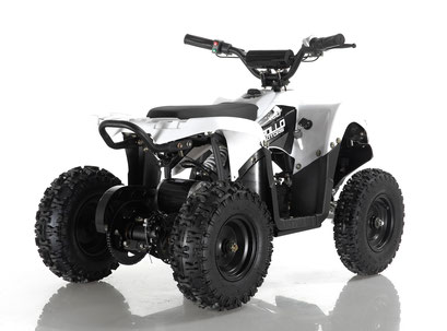Apollo volt 500w 36v electric atv online