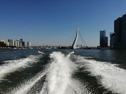 Rotterdam