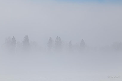 Bavarian Tundra