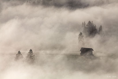 Der Nebel lichtet sich