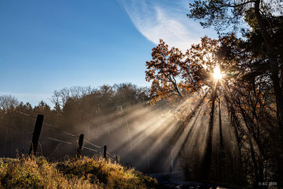 Novembermorgen