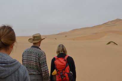 Wüstenspaziergang vor Swakop