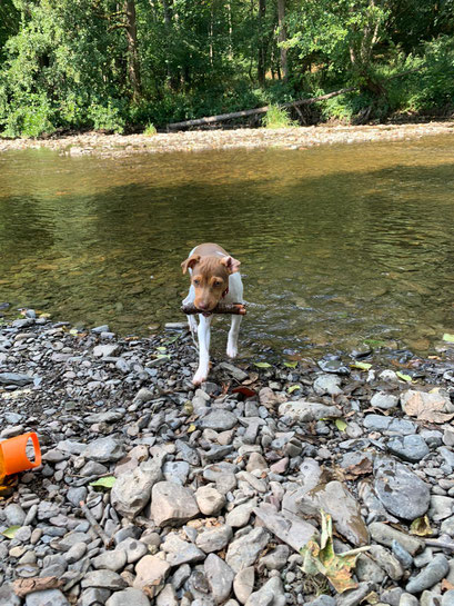 09.08.2020 - Easy die Wasserratte