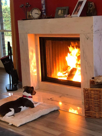 17.11.2020 - unsere süße Emely liebt es warm