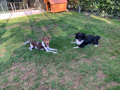 09.11.2020 - Eileen mit einem Freund
