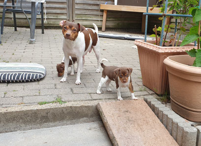 17.06.2020 -  Mama Blanca + Emely im Hintergrund Eileen